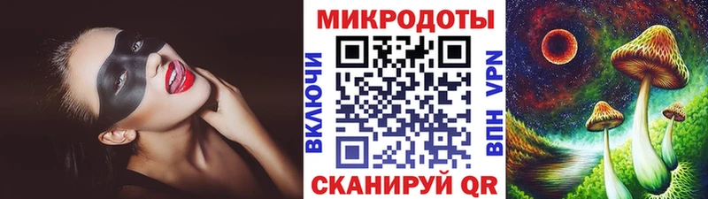 shop Telegram закладка Котельники Псилоцибиновые грибы Psilocybine cubensis